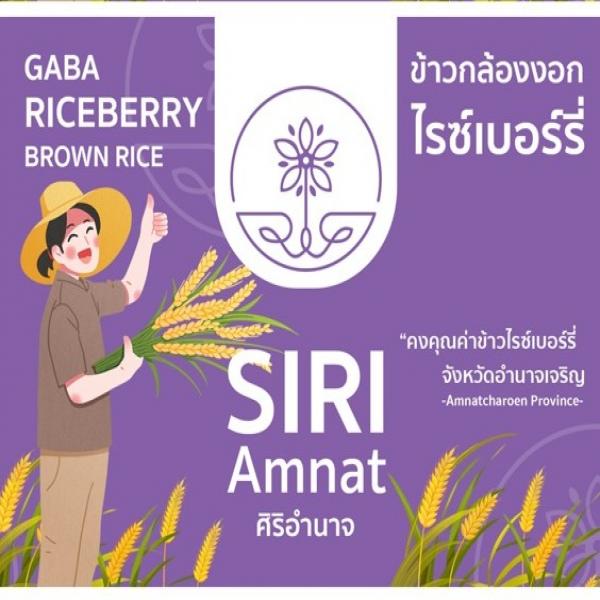 บริษัท ไทยสิน ไรซ์มิล จำกัด