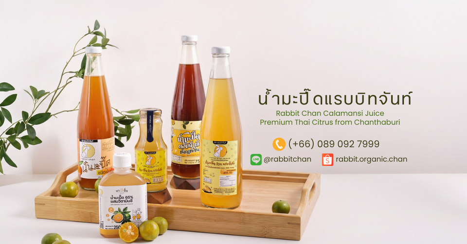 บริษัท แรบบิทจันท์ จำกัด